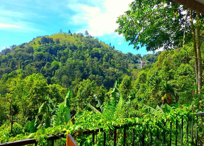 Ever Green Mount