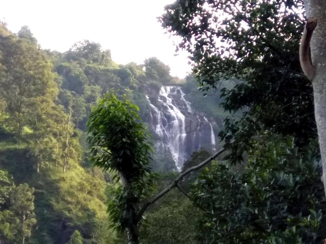 बिस्तर और नाश्ता Ever Mount *