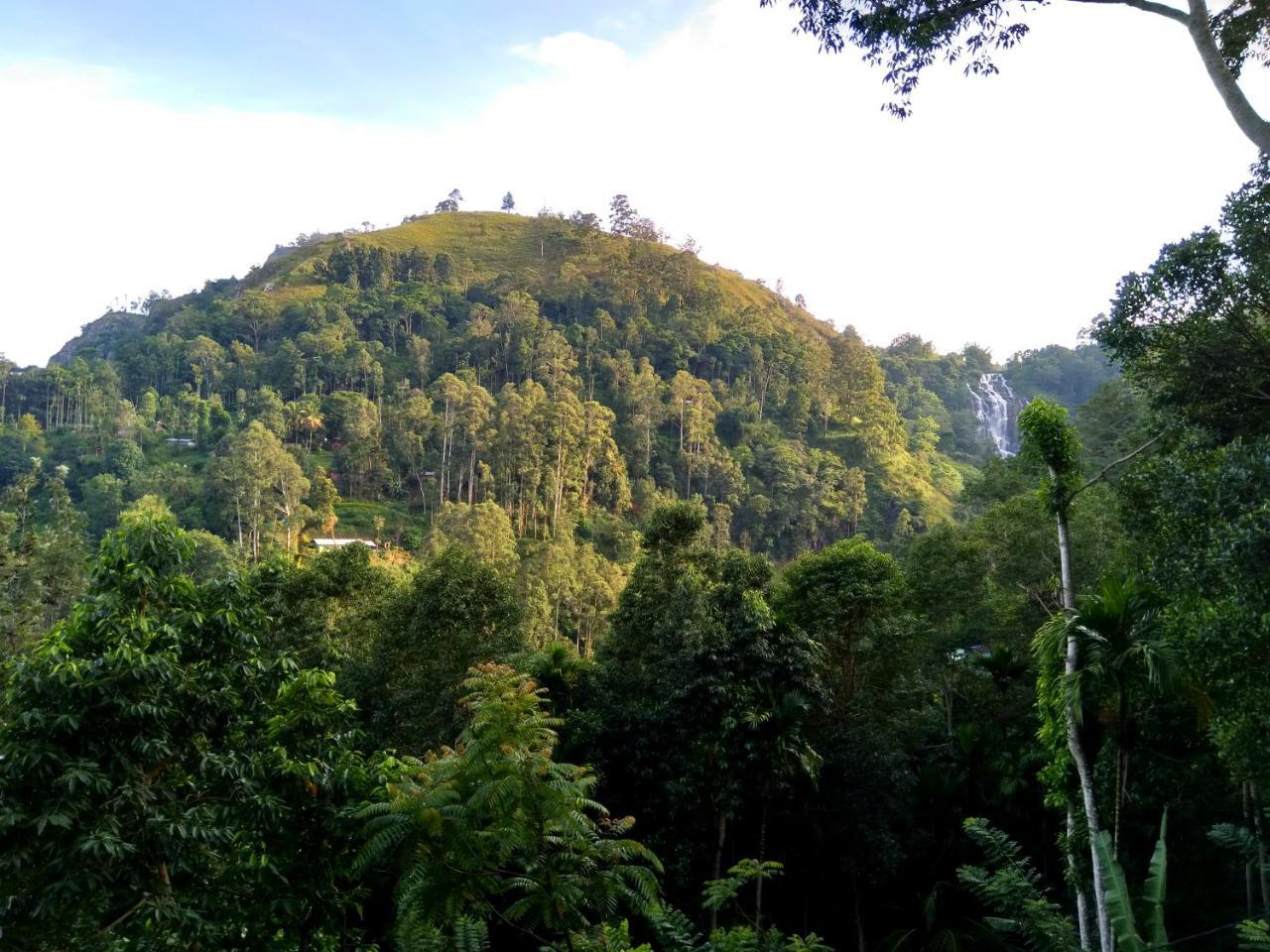 बिस्तर और नाश्ता Ever Mount *